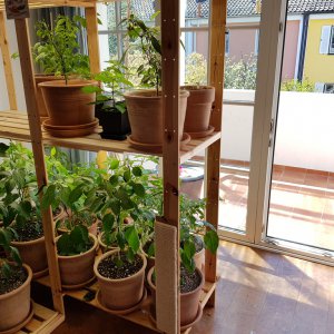 20190420_124144-sonnenbad.jpg