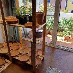 20190420_105102-sonnenbad.jpg
