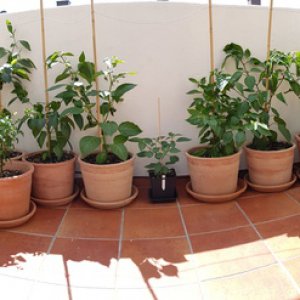 20190422_134835-balkon.jpg
