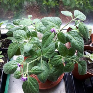 20190510_171718.jpg