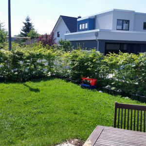 20190519_122624.jpg