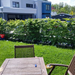 20190519_122619.jpg