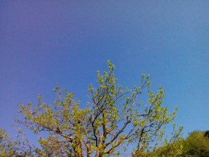 Sonne 25°
