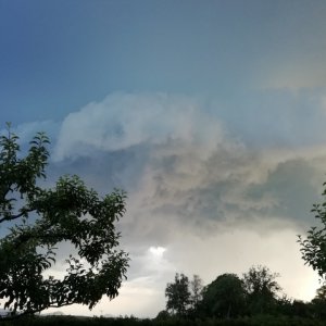 IMG_20190607_200119.jpg