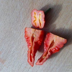 Erste Superhot2 8.6