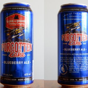 Blueberry Ale