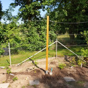 26.06.19    Brom-Himbeerspalier.jpg