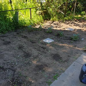 29.06.19    Garten vorne.jpg