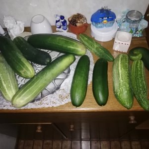 IMG_20190803_190322.jpg
