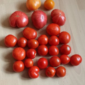 Ernte 30.08.19