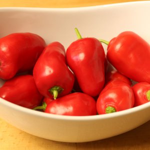 20190827-rocoto-cuencano-HM6C7247.jpg
