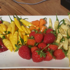Thai, Lemon Drop, Orange Lantern, Murupi, Erdbeeren