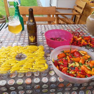 IMG_20190907_140317.jpg