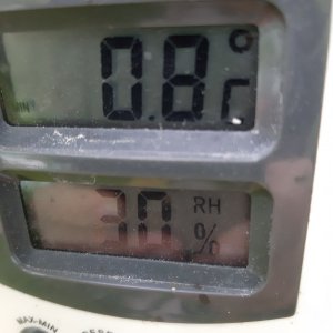 Temperatur 19.9.