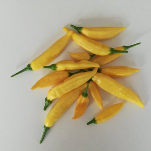 lemon drop