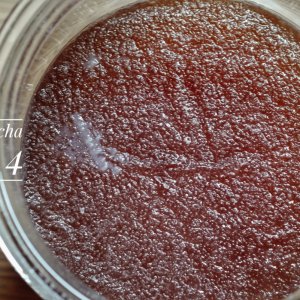 Kombucha Tag 4
