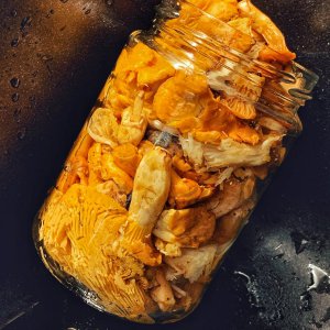 Pfifferlinge