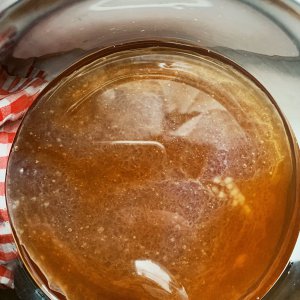 Kombucha — Tag 5