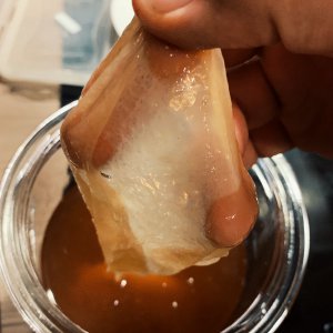 SCOBY