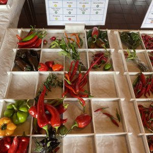 Chiliausstellung Oberursel