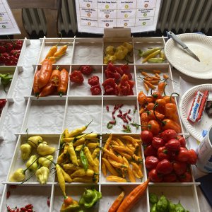 Chiliausstellung Oberursel
