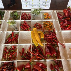 Chiliausstellung Oberursel