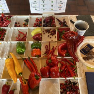 Chiliausstellung Oberursel
