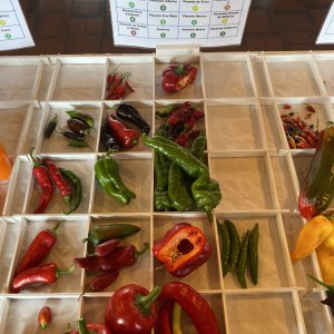 Chiliausstellung Oberursel