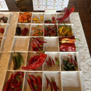 Chiliausstellung Oberursel