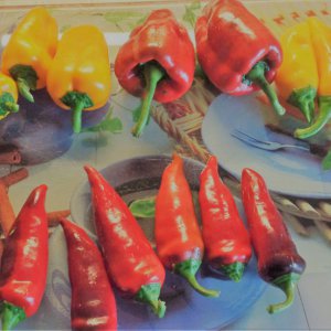 orange Paprika-Antep Aci Dolma-Hopp aka. Tazmanian Black