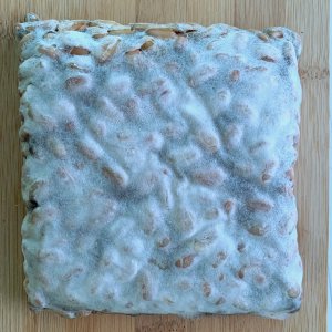 Tempeh
