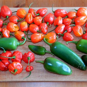 Pepon_AjiDulce_Jalapeno