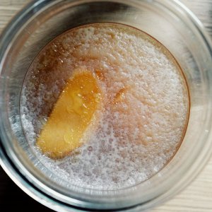 Tigertee Kombucha