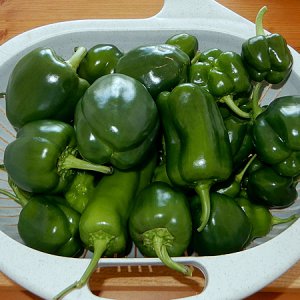 Paprika
