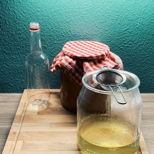 Neuer Sencha Kombucha Ansatz