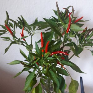 20191022_165623.jpg