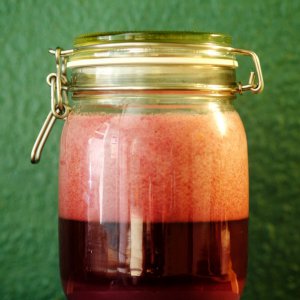 Rosensirup