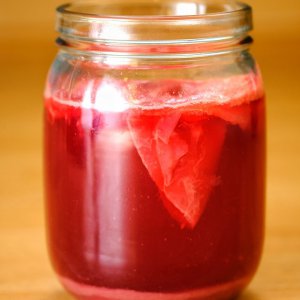 Rosenkombucha, 2d