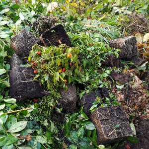 191104_Ende