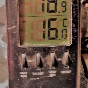 20191112_144609_Richtone(HDR)[572]_cleaned.jpg