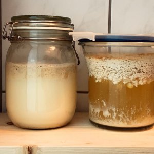 Hafer-/Sojadrink m. Nātto, 14h@40°C