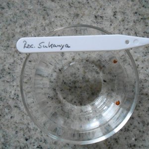 DSCN3137.JPG