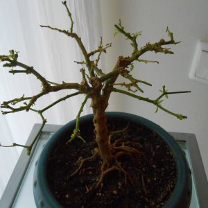 DSCN3139.JPG