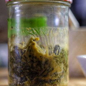 Yunnan