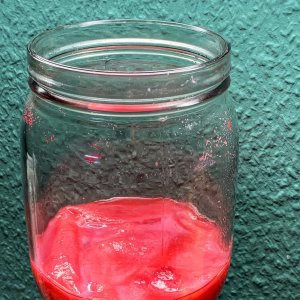 Rosenkombucha