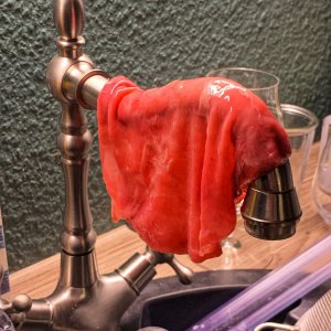 Rosen-SCOBY