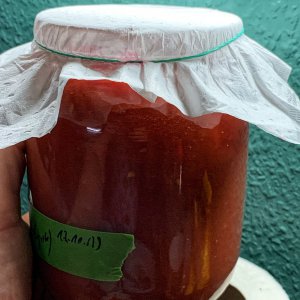 Ketchup-Kombucha?