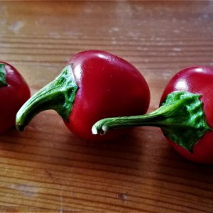 KirschChili rot