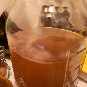 Kombucha