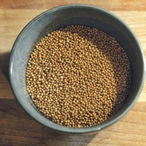 120g Gelbsenf